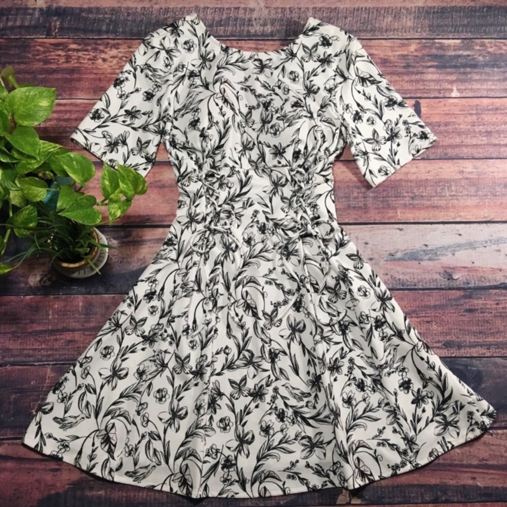 🕊🍂NWOT ASOS Front Lace-Up Skater Dress🍂🕊